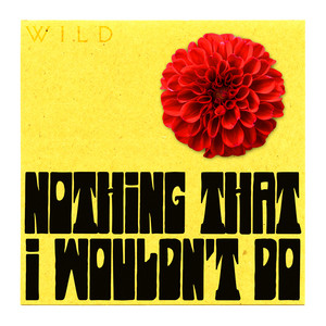 WILD — Nothing That I Wouldn&#039;t Do cover artwork