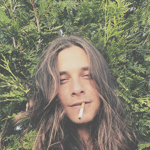 Travis Stacey — Sequoia cover artwork