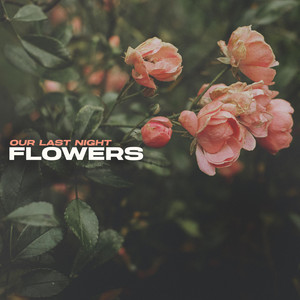 Our Last Night — Flowers cover artwork