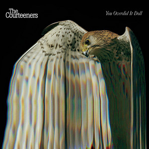 Courteeners — You Overdid It Doll cover artwork