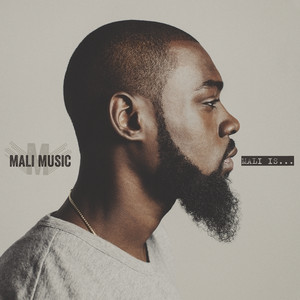 Mali Music — No Fun Alone cover artwork