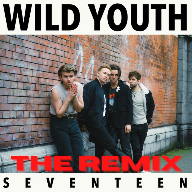 Wild Youth — Seventeen (The REMIX) cover artwork