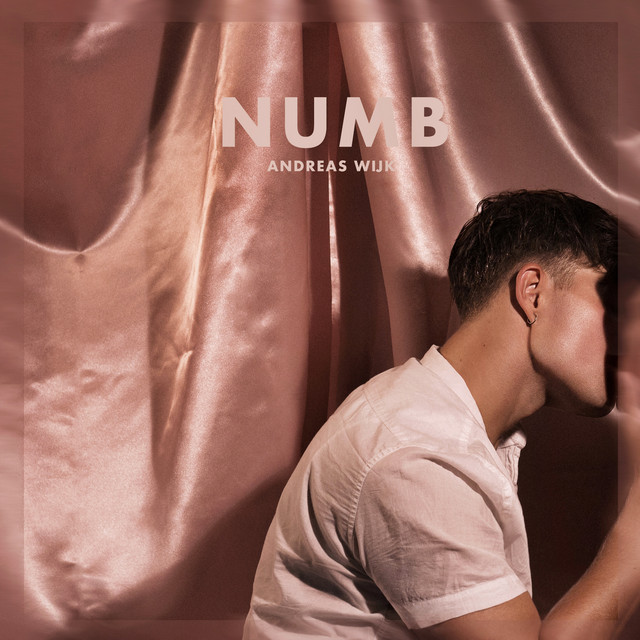Andreas Wijk NuMb ❄︎ cover artwork