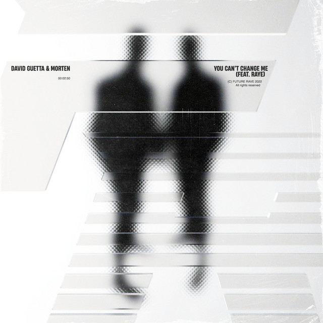 David Guetta & MORTEN featuring RAYE — You Can&#039;t Change Me cover artwork
