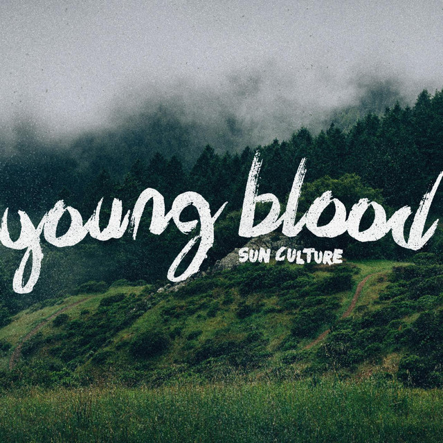 Sun Culture — Young Blood cover artwork