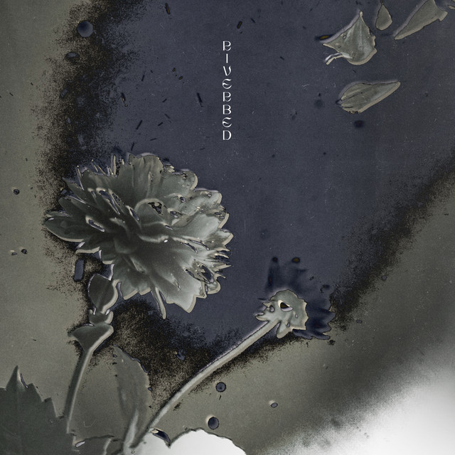 Matt Ryder featuring Birdy — Riverbed cover artwork