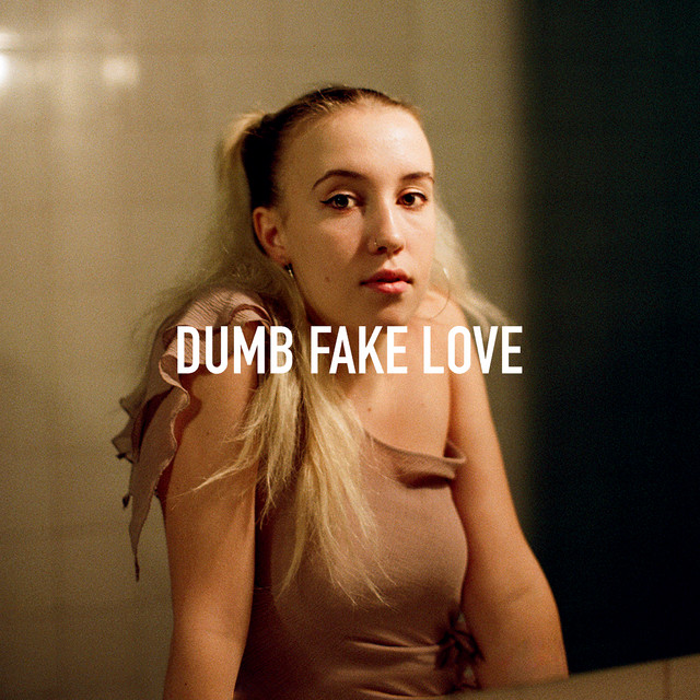 HAZ — Dumb Fake Love cover artwork