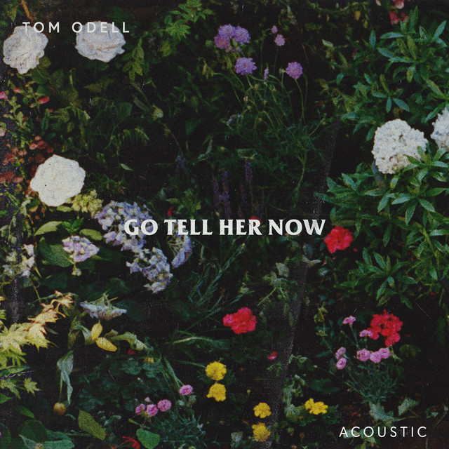Tom Odell — Go Tell Her Now cover artwork