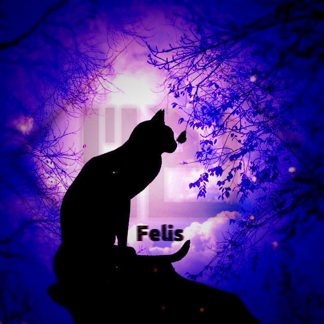 M2U — Felis cover artwork