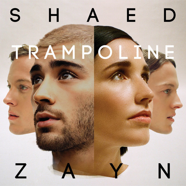 SHAED ft. featuring ZAYN Trampoline (Remix) cover artwork