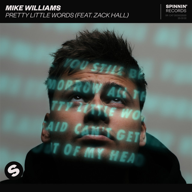 Mike Williams featuring Zack Hall — Pretty Little Words cover artwork