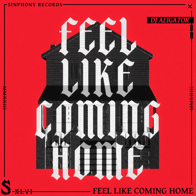 Dj Aligator — Feel Like Coming Home cover artwork