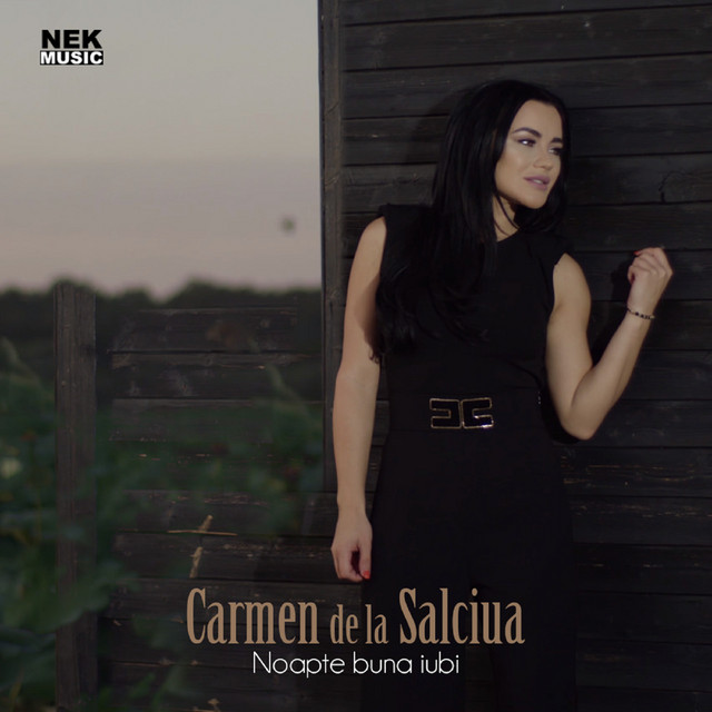 Carmen De La Salciua — Noapte Buna Iubi cover artwork