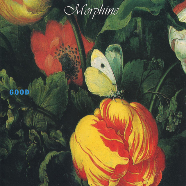 Morphine — Have a Lucky Day cover artwork