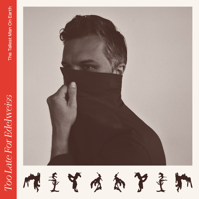The Tallest Man On Earth — Pink Rabbits cover artwork