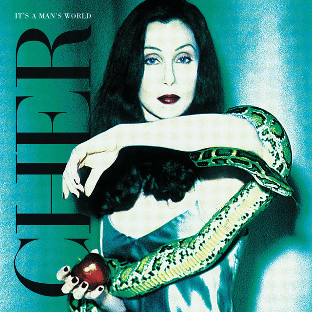 Cher — It&#039;s a Man&#039;s World cover artwork