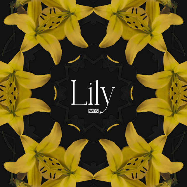 Andrei Ursu (wrs) — Lily cover artwork