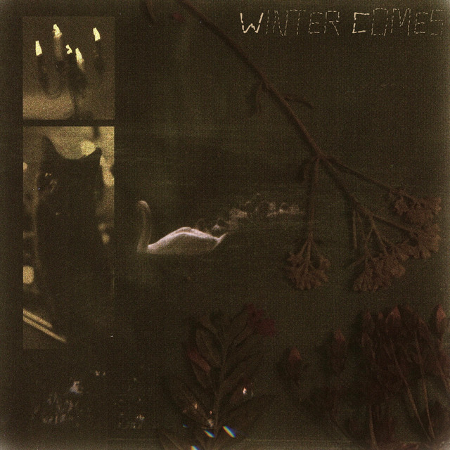 Paper Lady — Winter Comes cover artwork