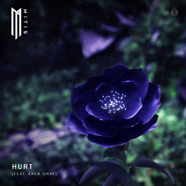 MitiS featuring Zack Gray — Hurt cover artwork