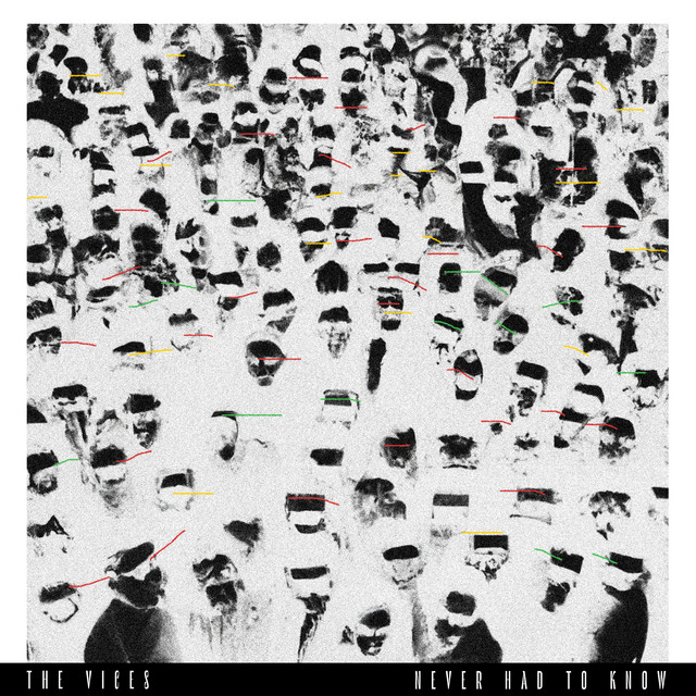 The Vices — Never Had To Know cover artwork