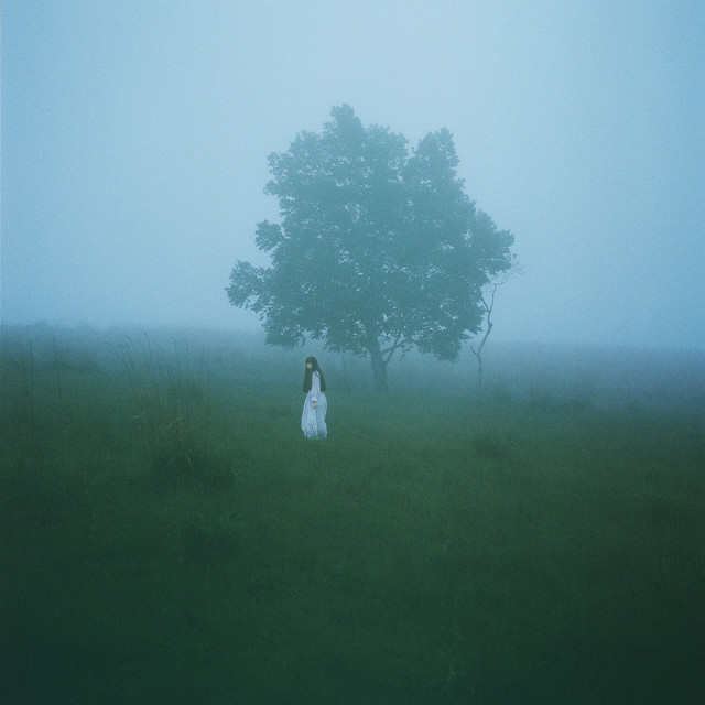 Ichiko Aoba — Asleep Among Endives cover artwork