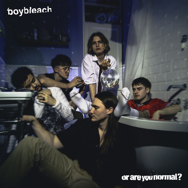 Boy Bleach or are you normal? cover artwork