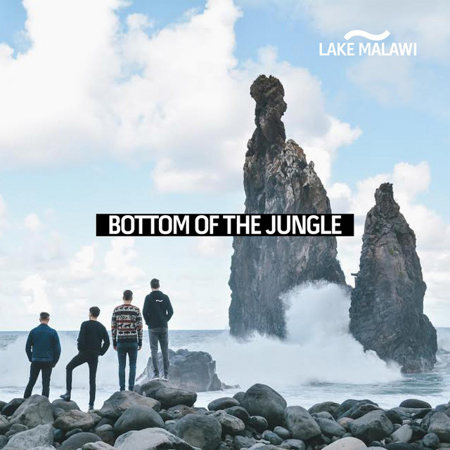 Lake Malawi — Bottom of the Jungle cover artwork