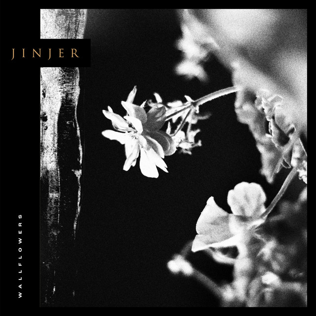 Jinjer — Call Me a Symbol cover artwork