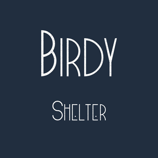 Birdy — Shelter cover artwork