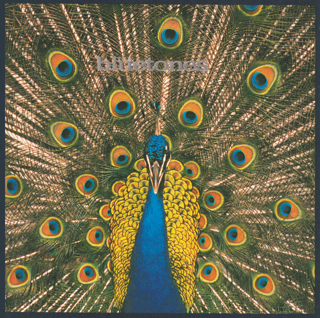 The Bluetones Expecting to Fly cover artwork