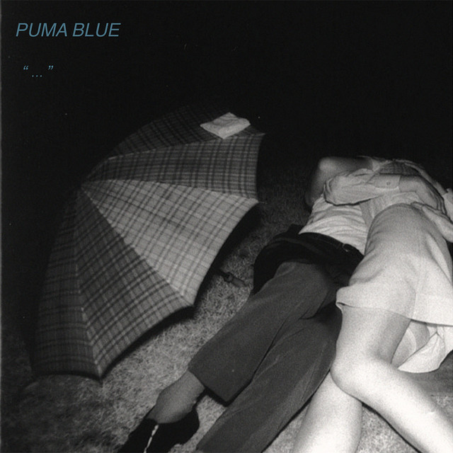 Puma Blue — (She&#039;s) Just a Phase cover artwork