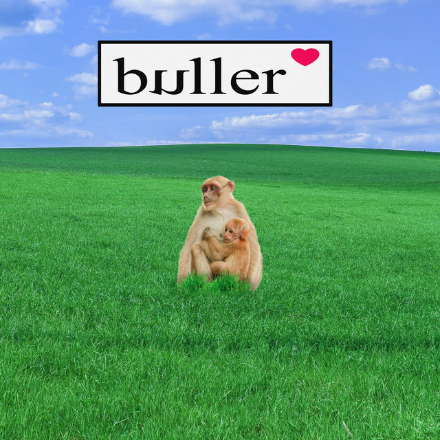buller buller 1 cover artwork