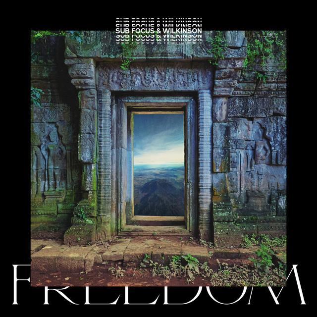 Sub Focus & Wilkinson ft. featuring Empara Mi Freedom cover artwork