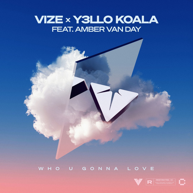 VIZE & Y3LLO KOALA featuring Amber Van Day — Who U Gonna Love cover artwork
