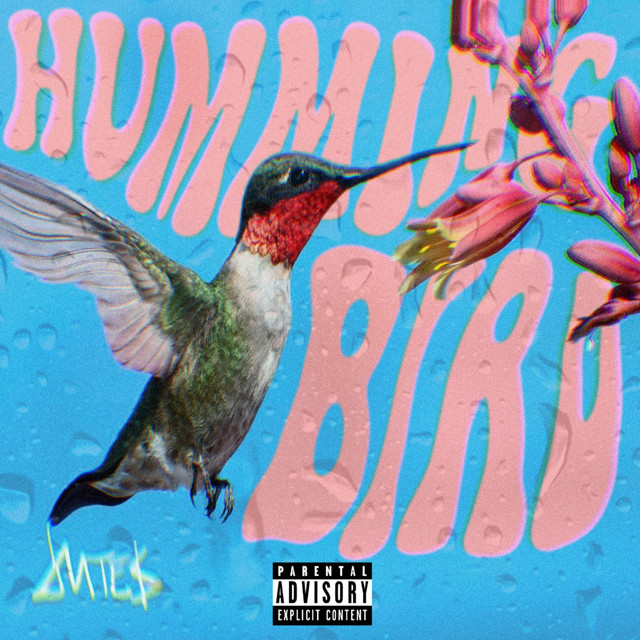 Jutes — Hummingbird cover artwork