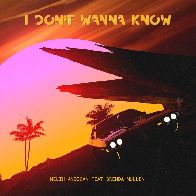 Melih Aydogan featuring Brenda Mullen — I Don&#039;t Wanna Know cover artwork