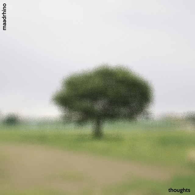 Maadrhino — Thoughts cover artwork