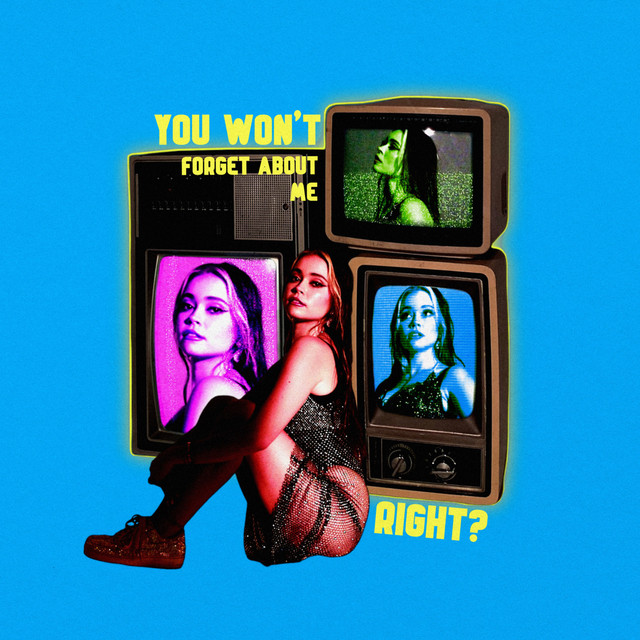 NERIAH — You Won&#039;t Forget About Me, Right? cover artwork