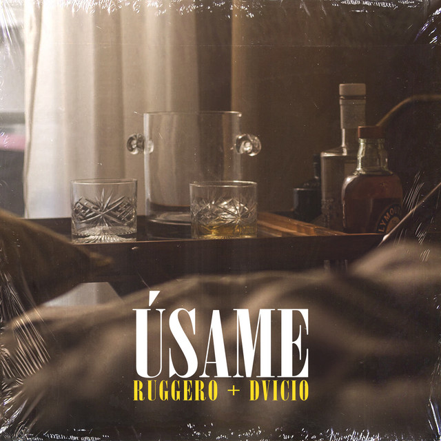 RUGGERO & Dvicio — Úsame cover artwork