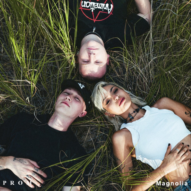 Prom — Not Coming Home cover artwork