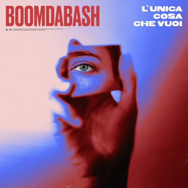 BoomDaBash — L&#039;unica cosa che vuoi cover artwork