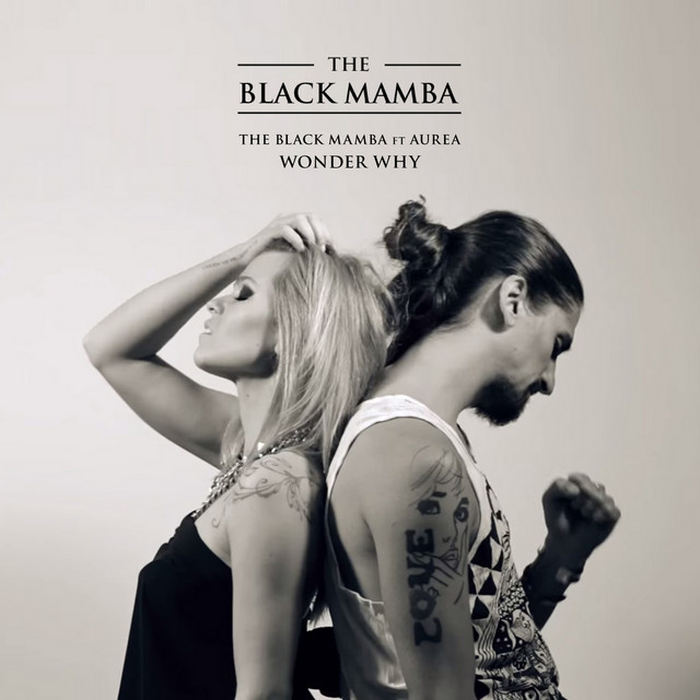The Black Mamba featuring Aurea — Wonder Why cover artwork