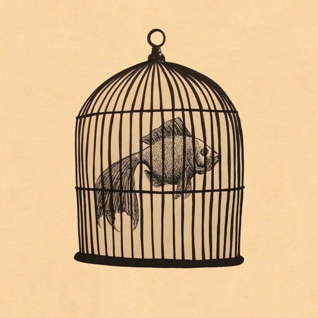 Fish in a Birdcage — Rule #4 - Fish in a Birdcage cover artwork