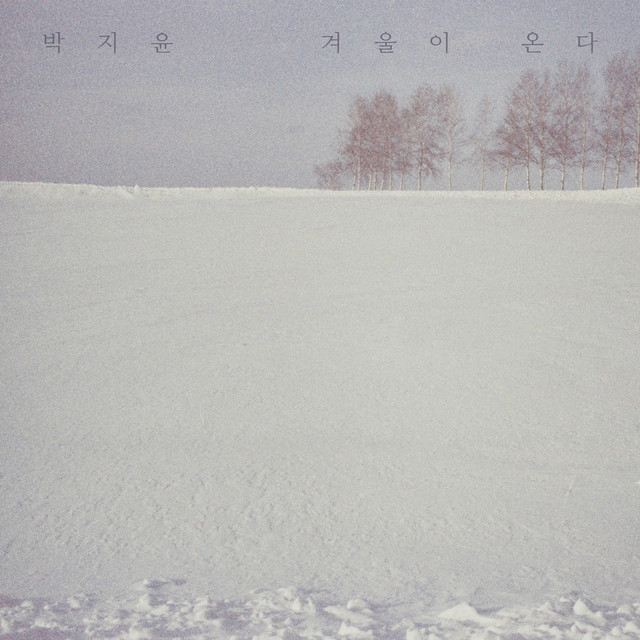 Park Ji Yoon Winter cover artwork