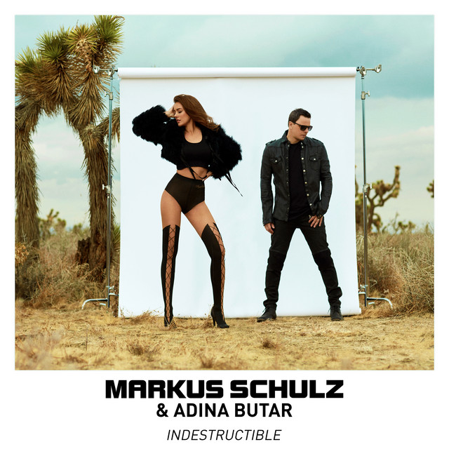 Markus Schulz & Adina Butar Indestructible cover artwork
