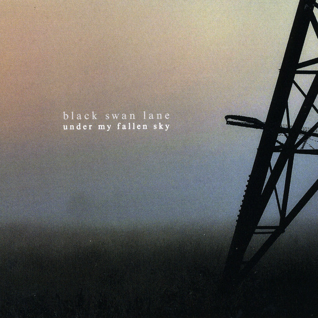 Black Swan Lane — The Pain You Suffer Is Gone cover artwork