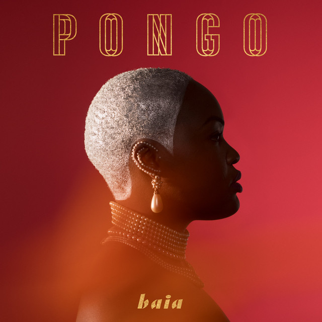 Pongo — Baia cover artwork