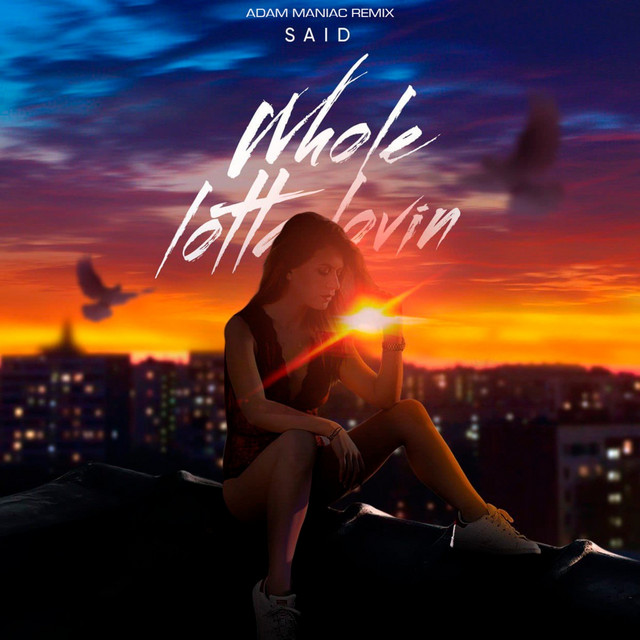 SAID — Whole Lotta Lovin - Adam Maniac Remix cover artwork