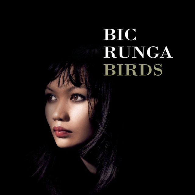 Bic Runga Birds cover artwork