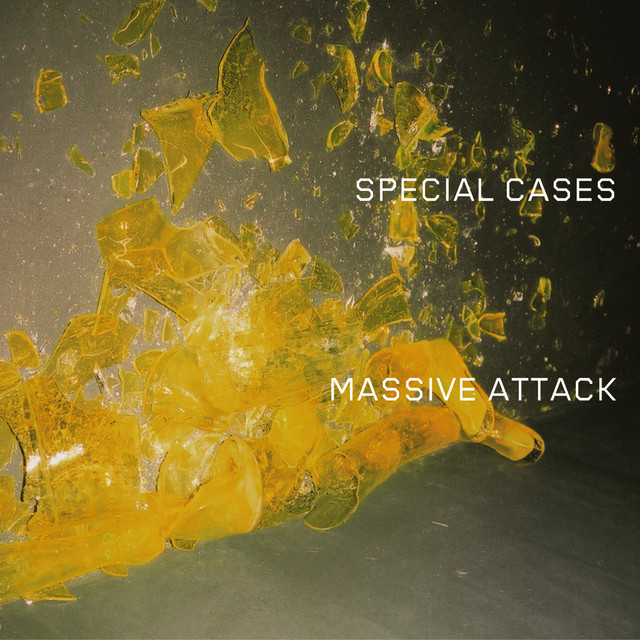 Massive Attack featuring Sinéad O&#039;Connor — Special Cases cover artwork